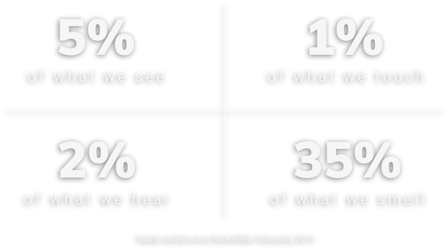 Humans can remember 35% of what we smell.